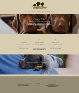 Fogelhund website hompage built by Two Pennies Creative.